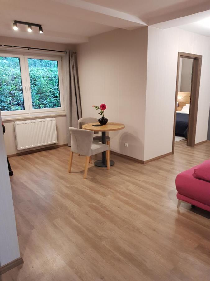 Apartament Góry i Potok Porąbka Zewnętrze zdjęcie