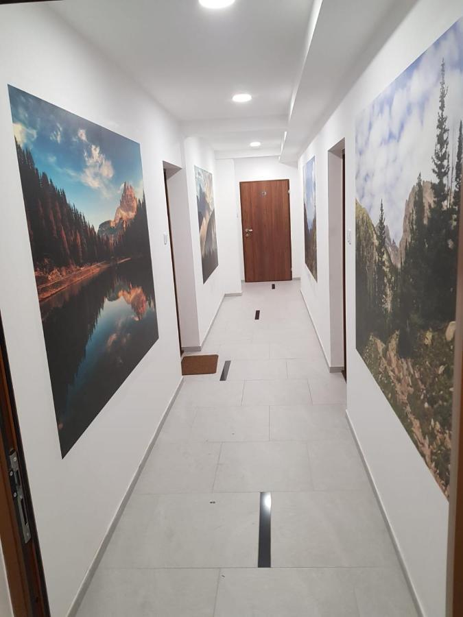 Apartament Apartament Góry i Potok Porąbka Zewnętrze zdjęcie