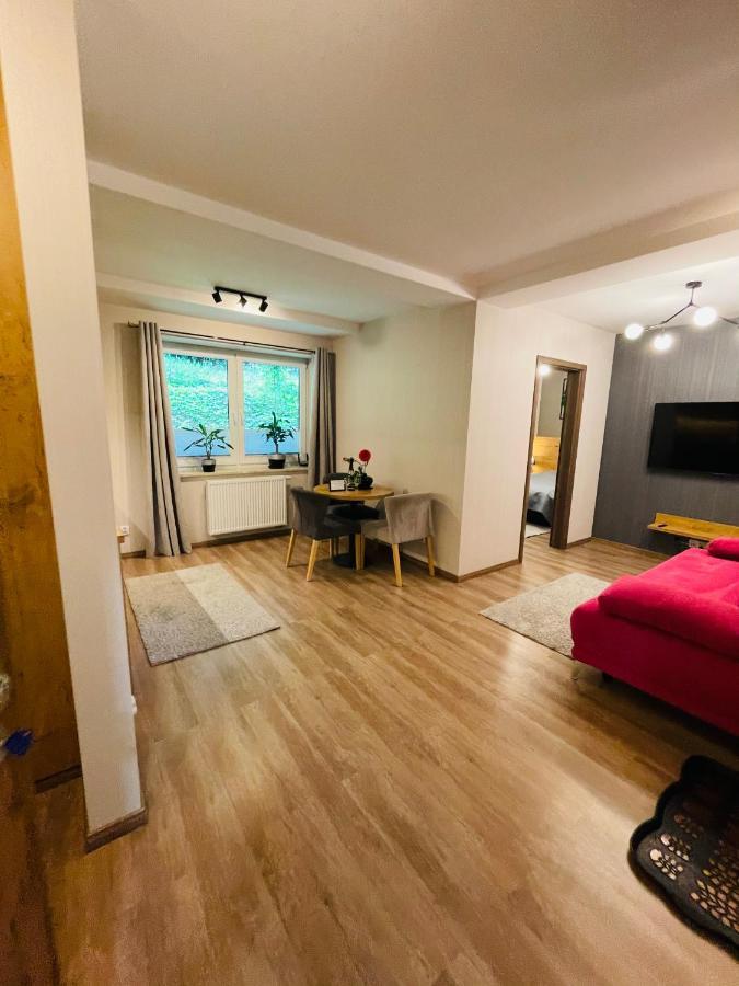 Apartament Apartament Góry i Potok Porąbka Zewnętrze zdjęcie