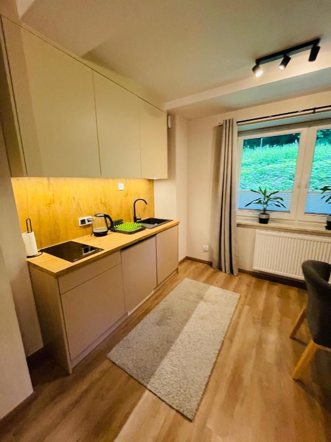 Apartament Apartament Góry i Potok Porąbka Zewnętrze zdjęcie