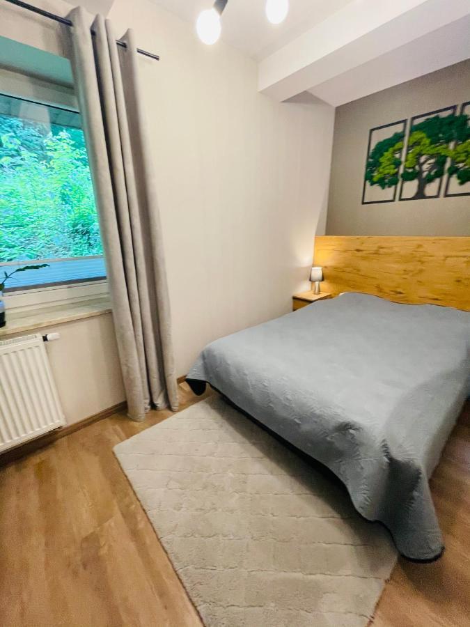 Apartament Apartament Góry i Potok Porąbka Zewnętrze zdjęcie