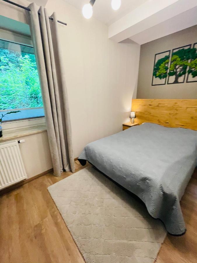 Apartament Góry i Potok Porąbka Zewnętrze zdjęcie